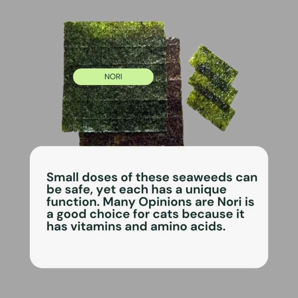 nori seaweed
